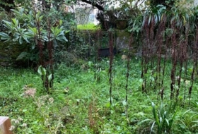 Pravia 500&nbsp;m² 