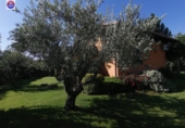 Casa de campo con terreno en venta en la España, Marcilla, ref: TR148765 foto