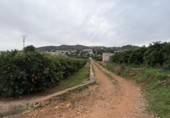 Terreno no urbanizable en venta en la España, Chiva, ref: TR375605 foto