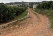 Terreno no urbanizable en venta en la España, Chiva, ref: TR375605 foto