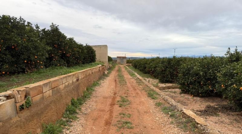 València - Chiva - 33000m2