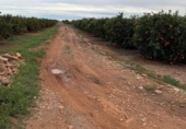 Terreno no urbanizable en venta en la España, Chiva, ref: TR375605 foto