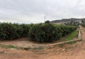 Terreno no urbanizable en venta en la España, Chiva, ref: TR375605 foto