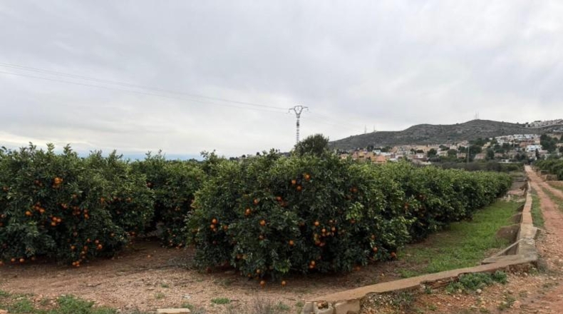 València - Chiva - 33000m2