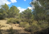 Terreno no urbanizable en venta en la España, Aledo, ref: TR366104 foto