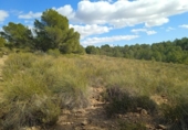 Terreno no urbanizable en venta en la España, Aledo, ref: TR366104 foto