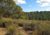 Terreno no urbanizable en venta en la España, Aledo, ref: TR366104 foto