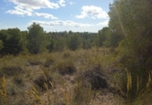 Terreno no urbanizable en venta en la España, Aledo, ref: TR366104 foto