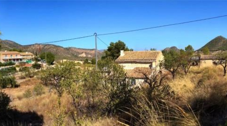 Murcia - Ricote - 14154m2