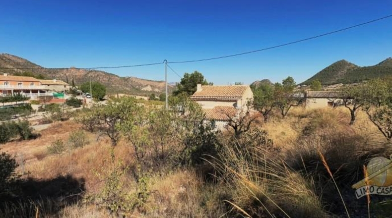 Murcia - Ricote - 14154m2