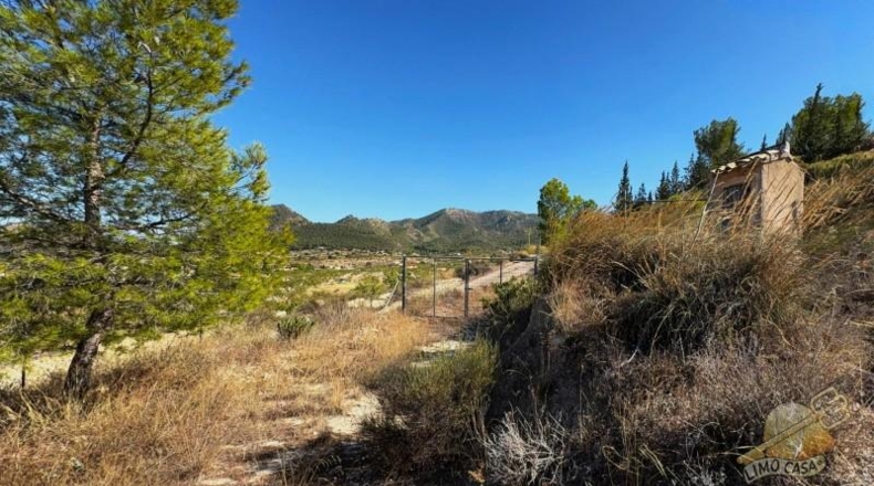 Murcia - Ricote - 14154m2
