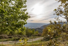 Nigüelas 10000&nbsp;m² 
