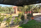 Finca rústica en venta en la España, Guareña, ref: TR411784 foto