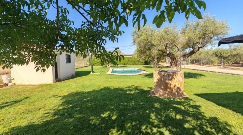 Badajoz - Guareña - 3700m2