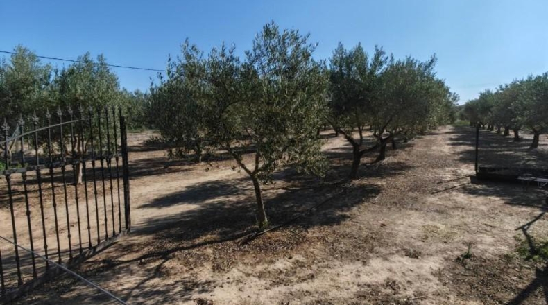 Badajoz - Guareña - 3700m2