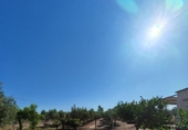 Finca rústica en venta en la España, Guareña, ref: TR411784 foto