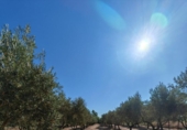 Finca rústica en venta en la España, Guareña, ref: TR411784 foto