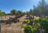 Finca rústica en venta en la España, Guareña, ref: TR411784 foto