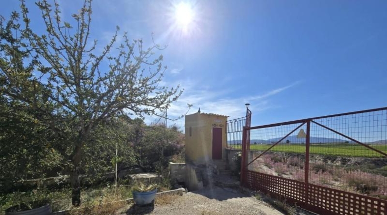 Múrcia - Alguazas - 3300m2