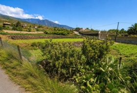Arafo 6400&nbsp;m²