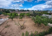 Chalet independiente con terreno en venta en la España, Chiva, ref: TR165696 foto