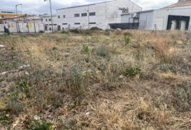 Foto 14