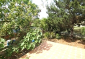 Detached villa with land for sale on España, Alguazas, ref: TR161329 photo