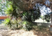 Detached villa with land for sale on España, Alguazas, ref: TR161329 photo
