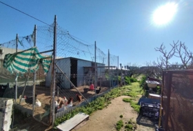 Foto 13