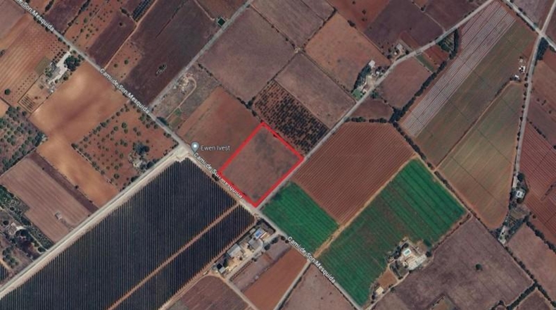 Balearic Islands - Felanitx - 16134m2