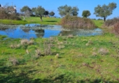 Parcela urbanizable en venta en la España, Aldea del Cano, ref: TR390113 foto