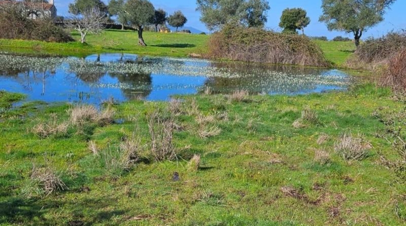 Cáceres - Aldea del Cano - 120000m2