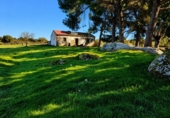 Parcela urbanizable en venta en la España, Aldea del Cano, ref: TR390113 foto