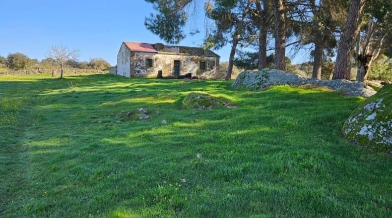 Cáceres - Aldea del Cano - 120000m2