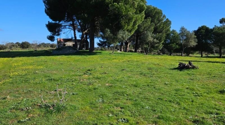 Cáceres - Aldea del Cano - 120000m2