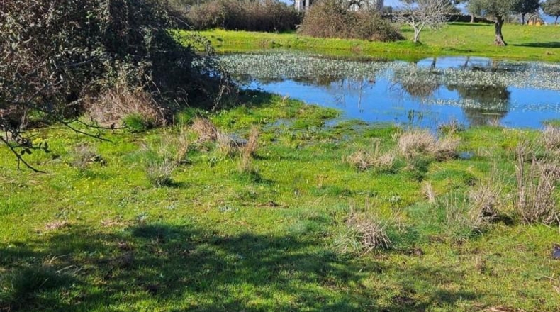 Cáceres - Aldea del Cano - 120000m2