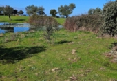 Parcela urbanizable en venta en la España, Aldea del Cano, ref: TR390113 foto