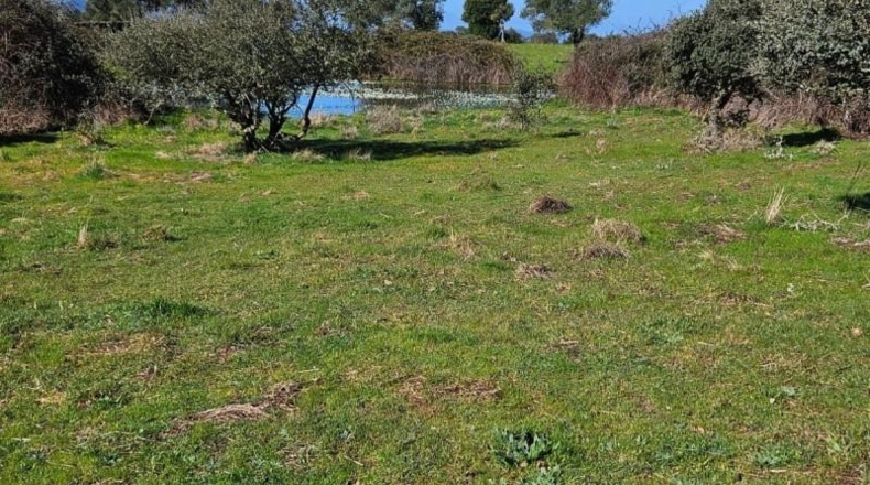 Cáceres - Aldea del Cano - 120000m2