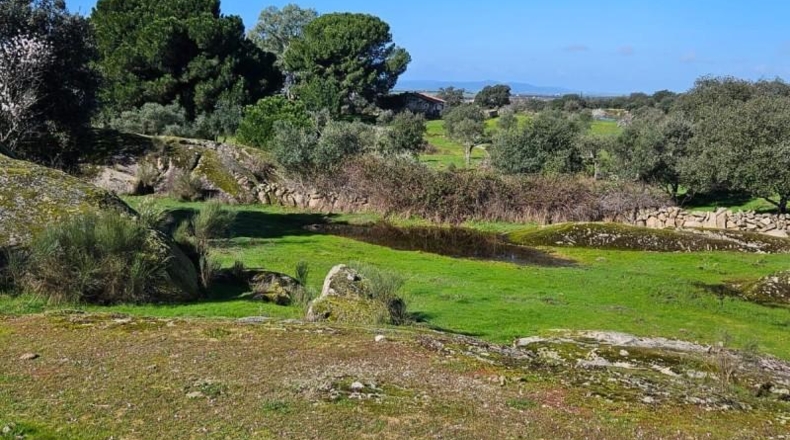 Cáceres - Aldea del Cano - 120000m2