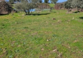 Parcela urbanizable en venta en la España, Aldea del Cano, ref: TR390113 foto