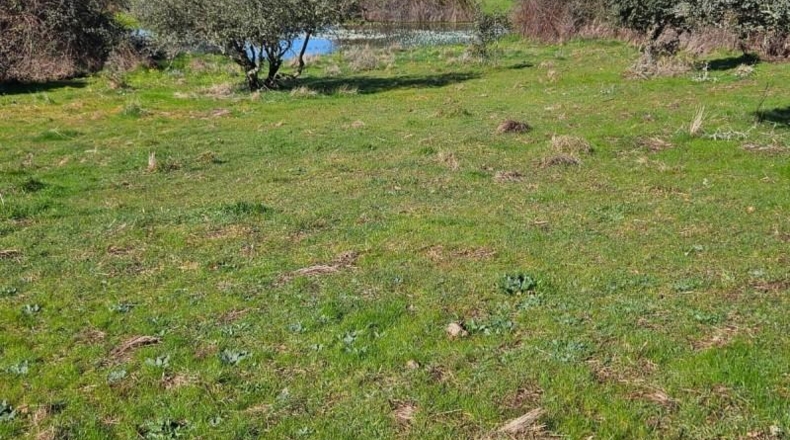 Cáceres - Aldea del Cano - 120000m2