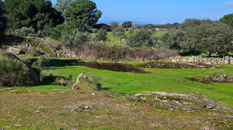 Cáceres - Aldea del Cano - 120000m2