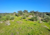 Parcela urbanizable en venta en la España, Aldea del Cano, ref: TR390113 foto