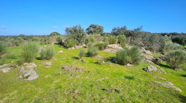 Cáceres - Aldea del Cano - 120000m2