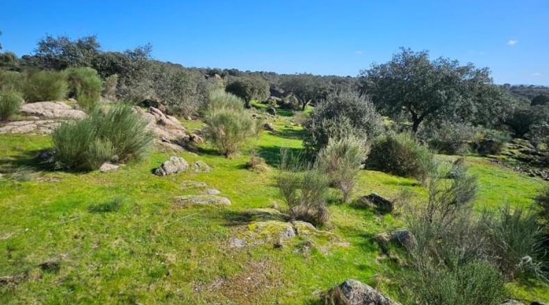 Cáceres - Aldea del Cano - 120000m2