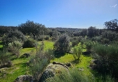 Parcela urbanizable en venta en la España, Aldea del Cano, ref: TR390113 foto