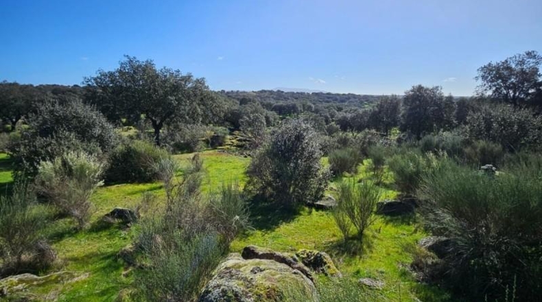 Cáceres - Aldea del Cano - 120000m2