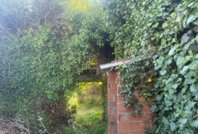 Foto 10