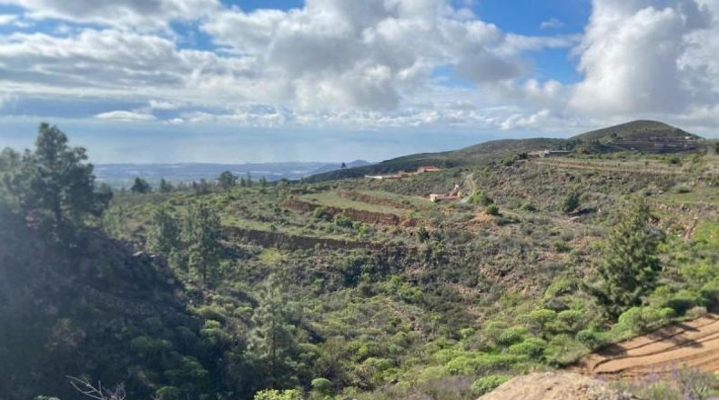 Santa Cruz de Tenerife - Granadilla de Abona - 8970m2