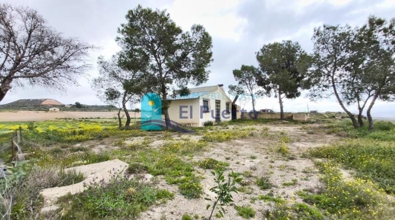 Murcia - Totana - 16562m2